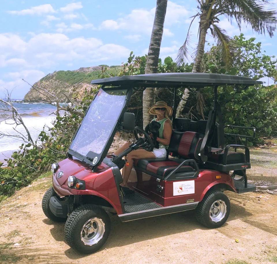 Voiturette LVLS à la plage