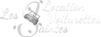 Logo LVLS noir et blanc